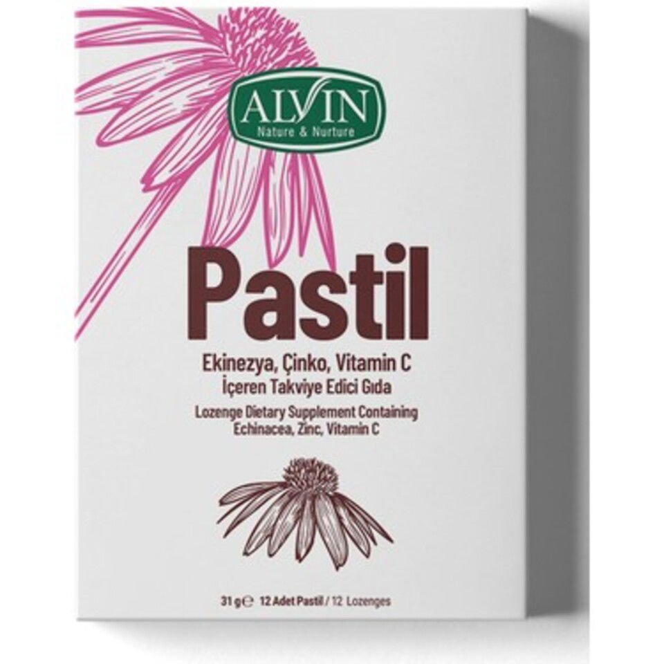 ALVİN PASTİL 12*Lİ- EKİZNEZYA&ZENCEFİL&VİTAMİNC